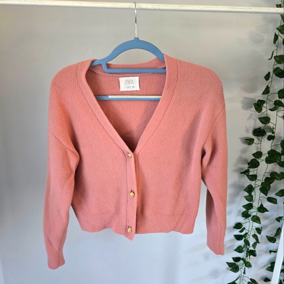 Zara Other - Zara blush pink Cardigan fox buttons